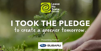 Компания Subaru Canada посадила 10000 деревьев