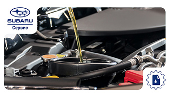 Специальное предложение 