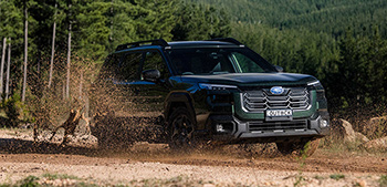 Субару - автопроизводитель 2025 года в Австралии